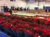 2015poinsettias.jpg (123600 bytes)